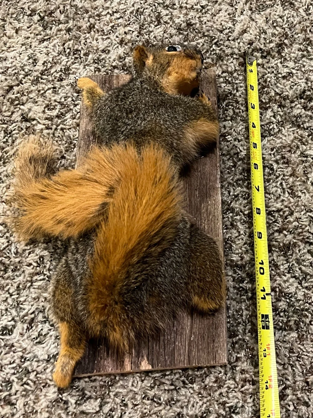 Rustic Gray and Orange Squirrel Wall Accent - Unbranded